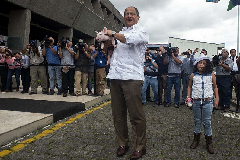 Daniela: la nueva mascota presidencial de Costa Rica - 308330
