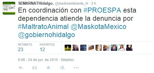 +KOTA anuncia acciones legales contra empleados - @medioambiente_H