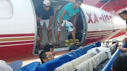 Trasladan a 5 delfines de Atlantis a Guadalajara y Guanajuato - Delfines-atlantis-profepa-Twitter5