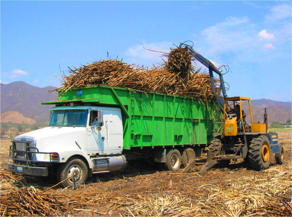 Licitan cuatro ingenios azucareros por más de 3 mmdp - Ingenio-azucarero-1024x762