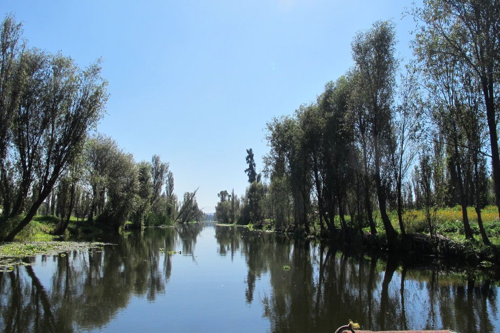 Situación de Xochimilco es crítica: UNAM - Xochimilco-trajineras2-1024x683