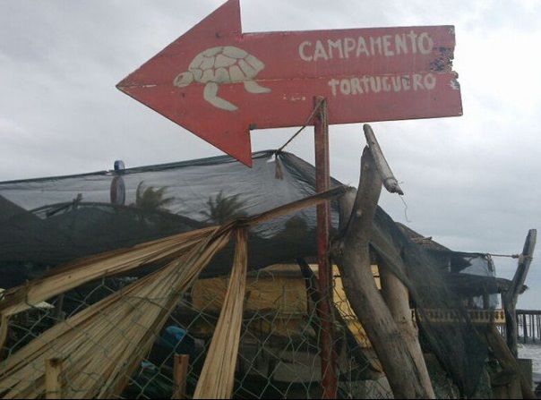 Huracán Carlos causa primeros estragos en playas de Guerrero - estragos-huracan-carlos-2
