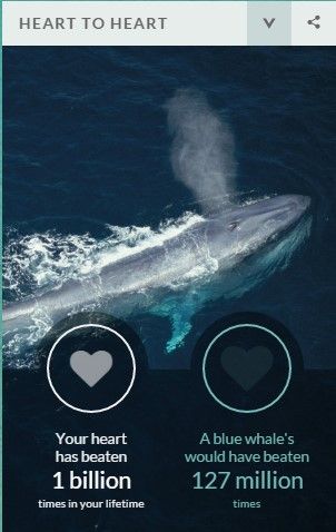 ¿Qué ha sucedido desde que usted nació? - info_bbc1