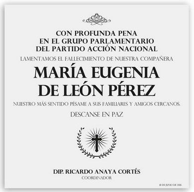 Muere diputada del PAN en Matamoros por embolia - muere-diputada-PAN-Diputados-PAN
