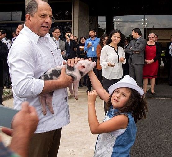 Daniela: la nueva mascota presidencial de Costa Rica - regalo2