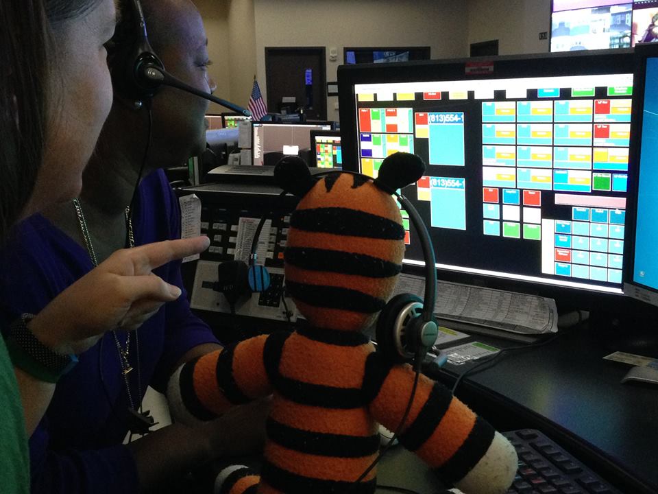 Tigre recorre Aeropuerto de Tampa - tampa_peluche4