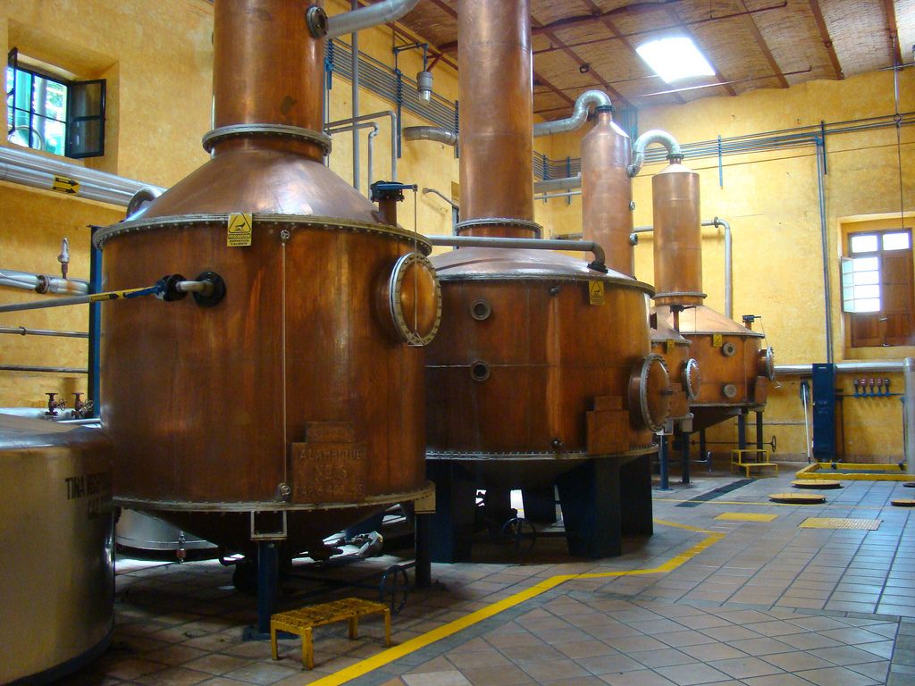 De México para el mundo: el tequila - 3017328885_4b1ffb31a7_b
