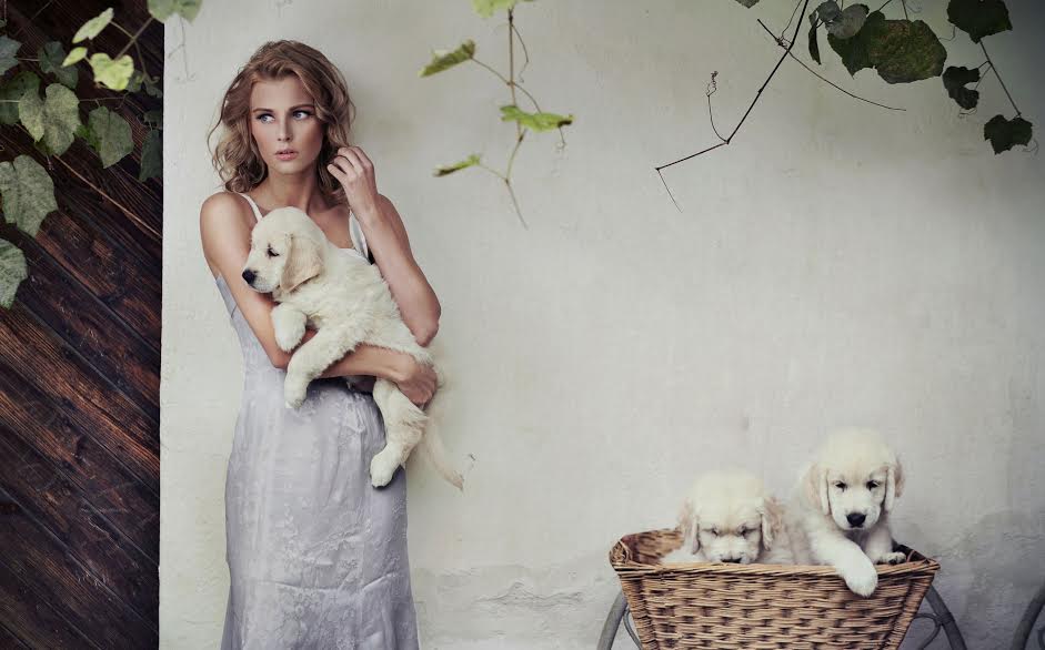 Pixel: amores perros - Amores-perros-pixel