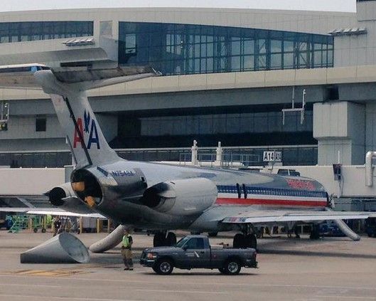 Aerolíneas prohíben transporte de trofeos de caza - Dallas-American-Airlines-DrRosane2