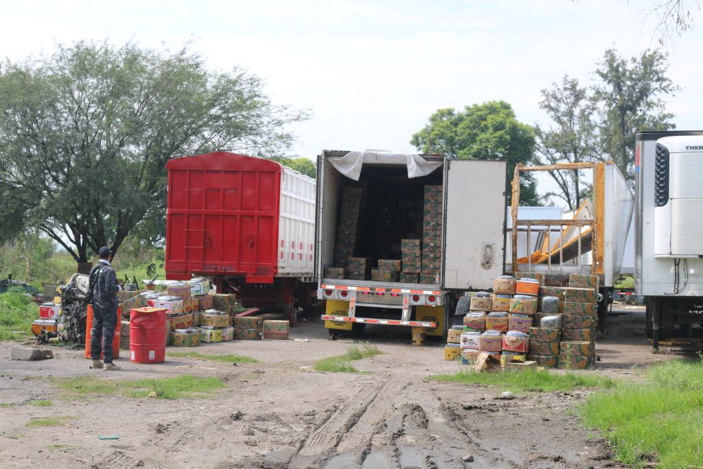 Autoridades aseguran cinco toneladas de mariguana en Jalisco - IMG_1927-1024x683