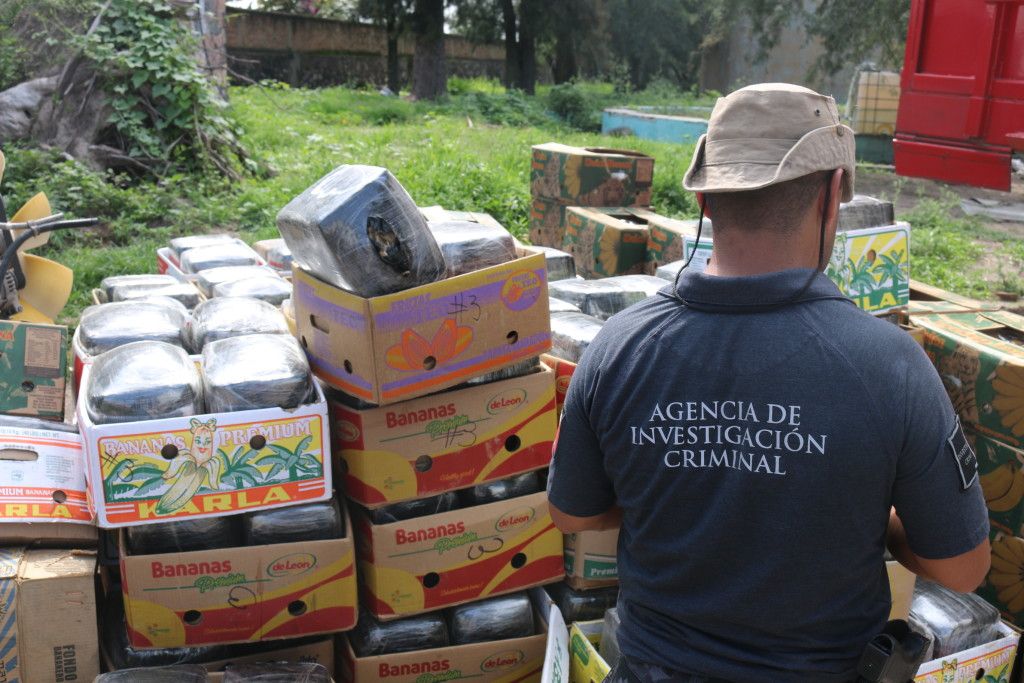 Autoridades aseguran cinco toneladas de mariguana en Jalisco - IMG_1979-1024x683