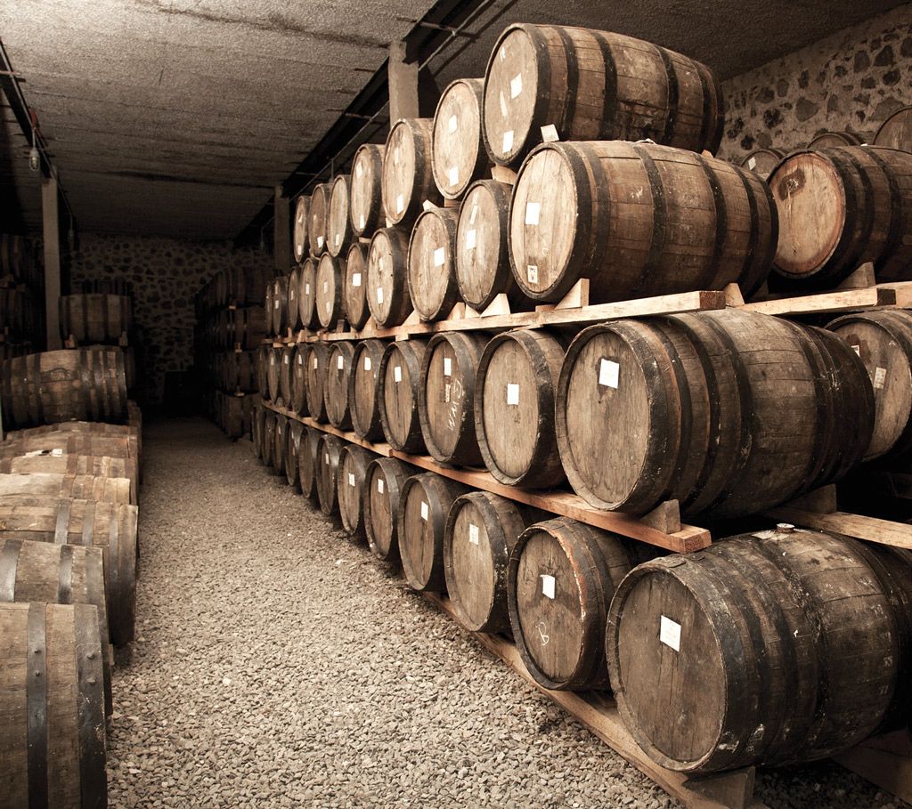 De México para el mundo: el tequila - europea_2