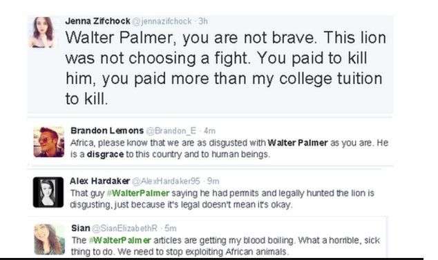 Acusan a dentista de matar a león en Zimbabue - mensjaes