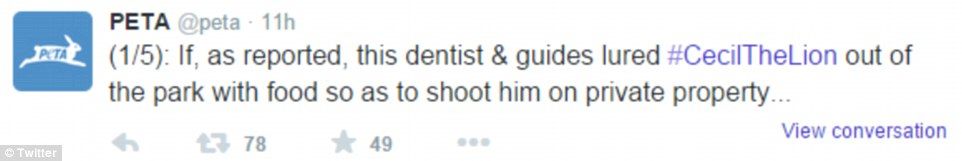 Acusan a dentista de matar a león en Zimbabue - peta-11143853921