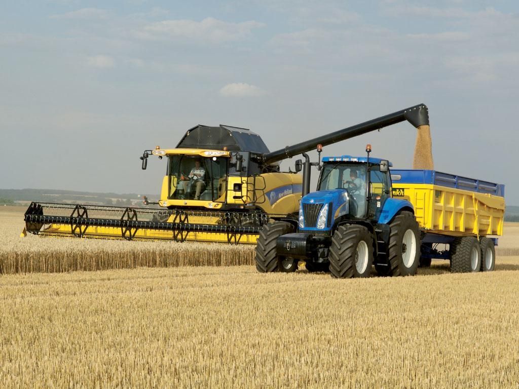 Precios de alimentos alcanzan nivel más bajo en seis años: FAO - 1602014_40_cereales