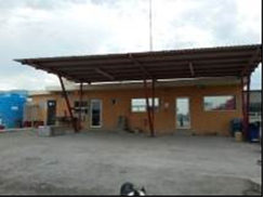 Decomisan 9 caballos "cuarto de milla" a Los Zetas - Imagen2