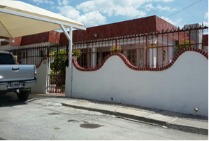 Decomisan 9 caballos "cuarto de milla" a Los Zetas - Imagen5