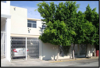 Decomisan 9 caballos "cuarto de milla" a Los Zetas - Imagen6