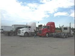 Decomisan 9 caballos "cuarto de milla" a Los Zetas - Imagen7