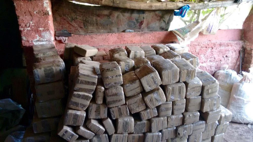 Decomisan más de una tonelada de mariguana en Jalisco - Mariguana-jalisco-PGR-1024x576