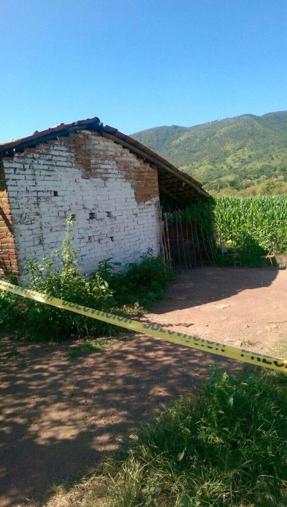 Decomisan más de una tonelada de mariguana en Jalisco - Mariguana-jalisco-PGR2-579x1024