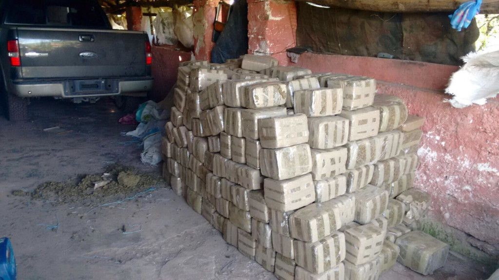 Decomisan más de una tonelada de mariguana en Jalisco - Mariguana-jalisco-PGR3-1024x576