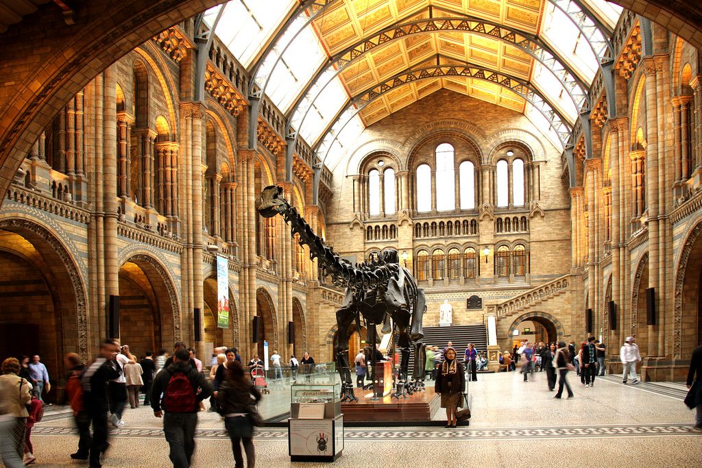 Museos de Londres, los más buscados en Google - Museo-Historia-Natural-Gobierno-Reino-Unido