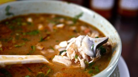 Cahuamanta tricolor - POLITICA-GOURMET-1