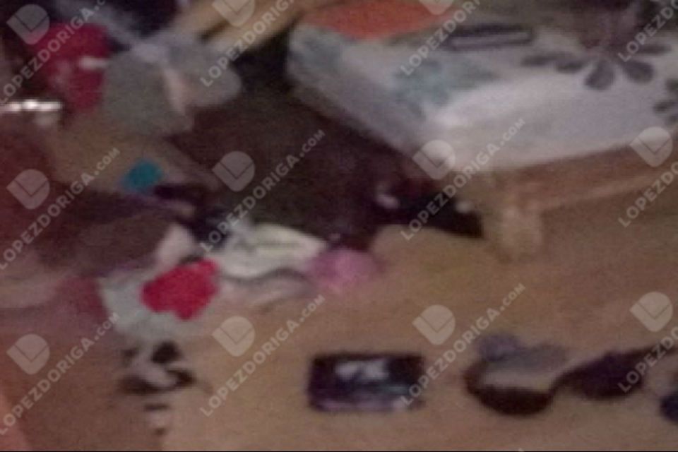 Detenido confiesa participación en multihomicidio en Narvarte - bf8cb04146717978c3de8d5cc40be31e2