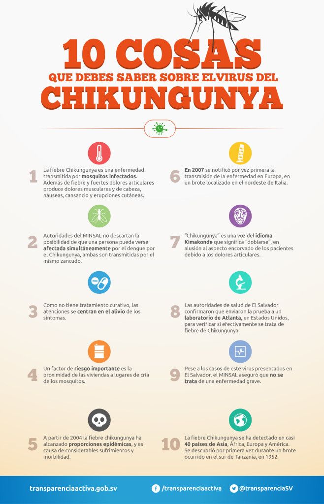 Chikungunya llegará a todo el país, “es cuestión de tiempo”: SSA - infografia-chikungunya-01-1-658x1024