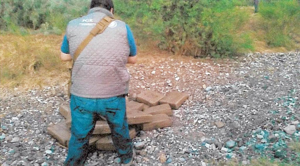 Aseguran 370 kilogramos de mariguana en Coahuila - Coahuila-Marihuana-1024x568