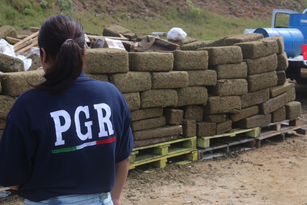 Incineran más de 4 toneladas de drogas en Jalisco - INCINERACION-IMG_2997-1024x683