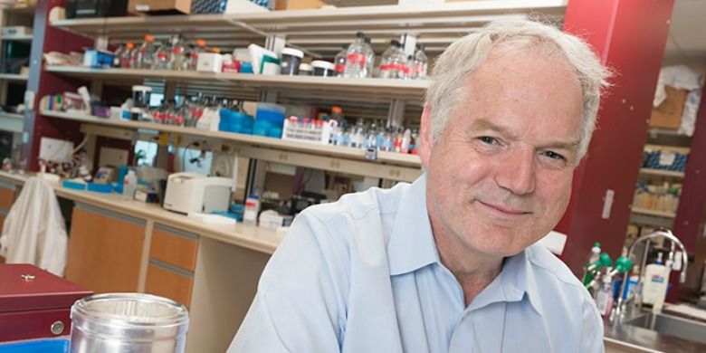 Descubren nuevo virus humano en la sangre - Michael-Houghton