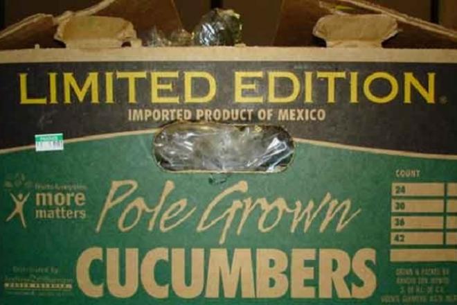 Pepinos mexicanos infectados provocan 2 muertes en EE.UU. - Rancho-Pepinos