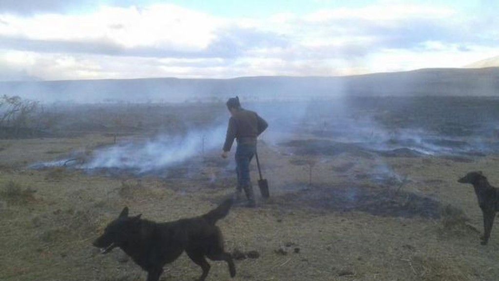 Se eleva a 13 número de muertos por sismo en Chile - Se-eleva-a-13-número-de-muertos-por-sismo-en-Chile-1024x576