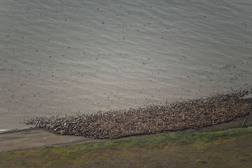Imágenes que muestran cómo el calentamiento global está cambiando a Alaska - alaska_climate_change_04