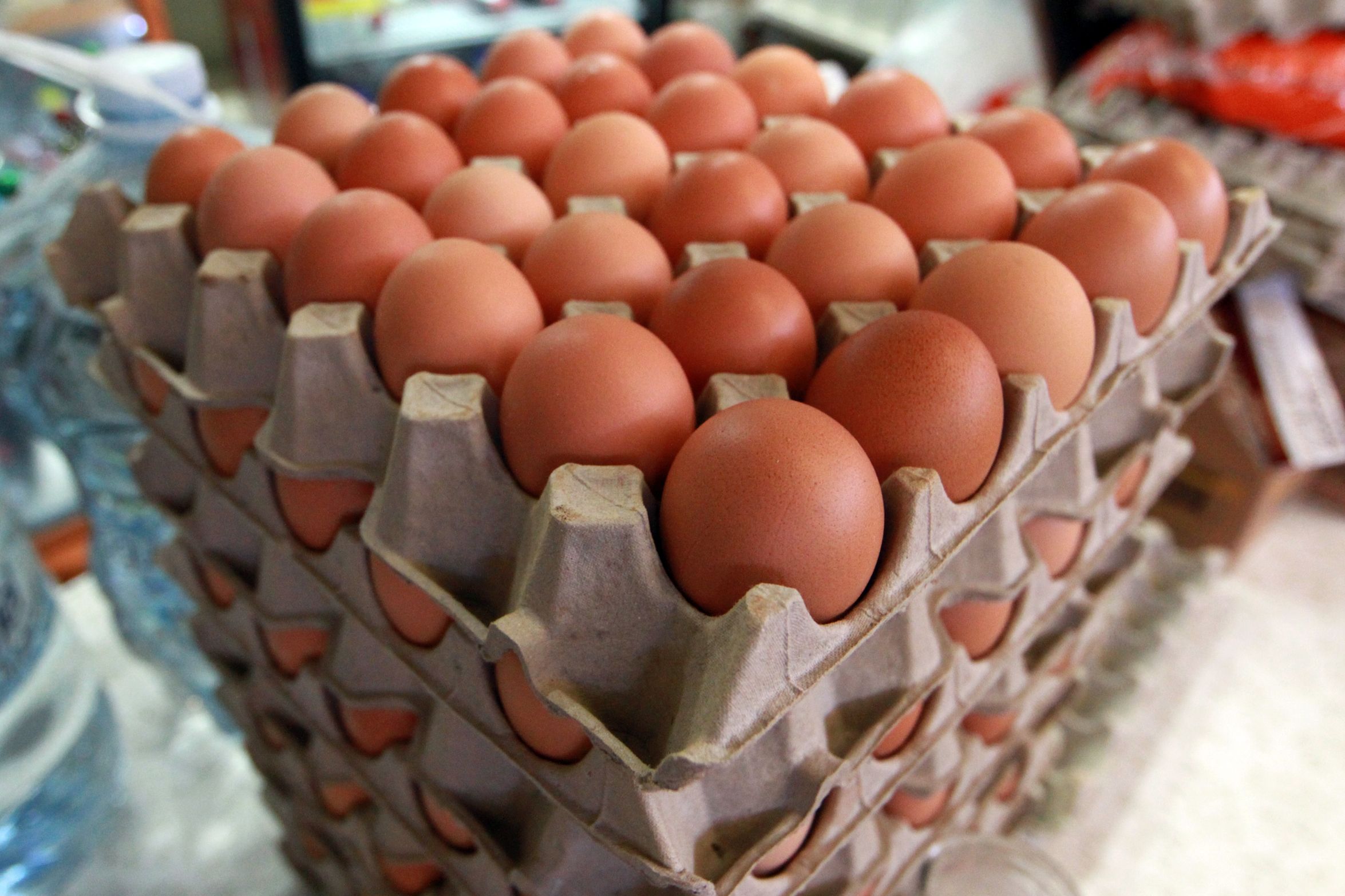 Inflación anual alcanza nuevo nivel mínimo histórico - huevo_1