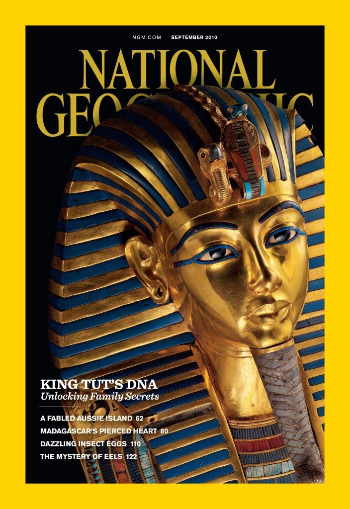 Fox compra National Geographic por 725 mdd - national_geographic3-704x1024