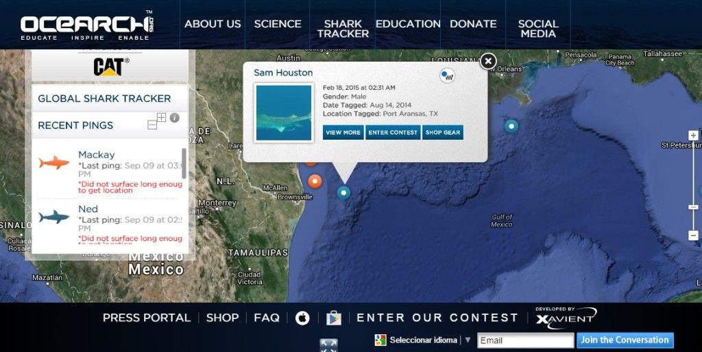 La aplicación para rastrear tiburones - ocearch-1024x514