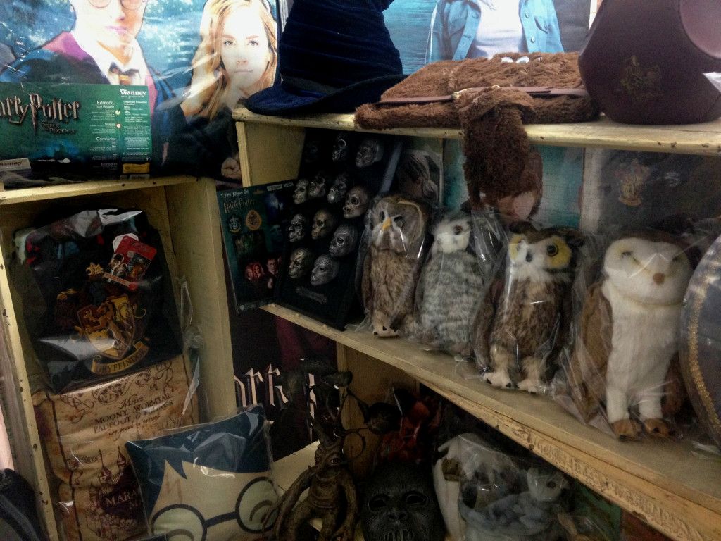 Mexicano abre museo de Harry Potter - potter_h-1024x768